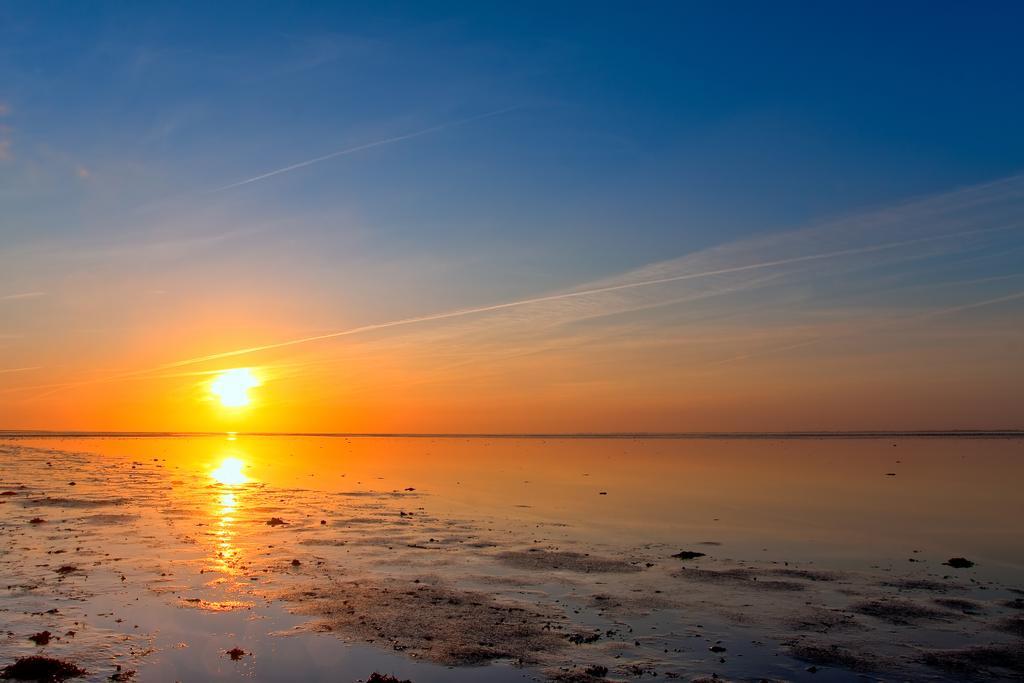 Helios, Met Zonnig Terras, Eigen Keuken, Verwarmd Binnen-Zwembad, Nabij Dorp, Duinen, Strand En Vuurtoren Hollum  Rum bild