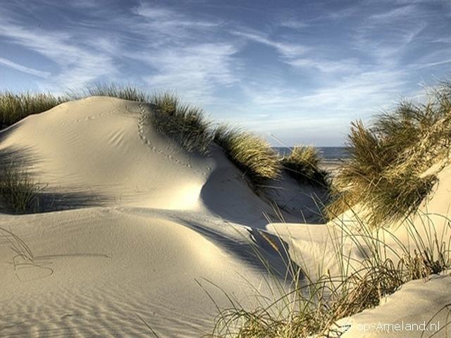 Helios, Met Zonnig Terras, Eigen Keuken, Verwarmd Binnen-Zwembad, Nabij Dorp, Duinen, Strand En Vuurtoren Hollum  Rum bild